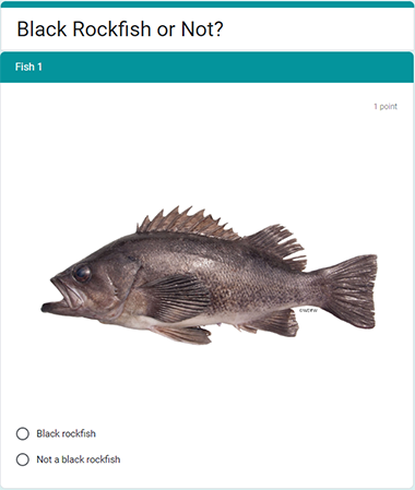 Rockfish identification tips | Oregon Department of Fish & Wildlife